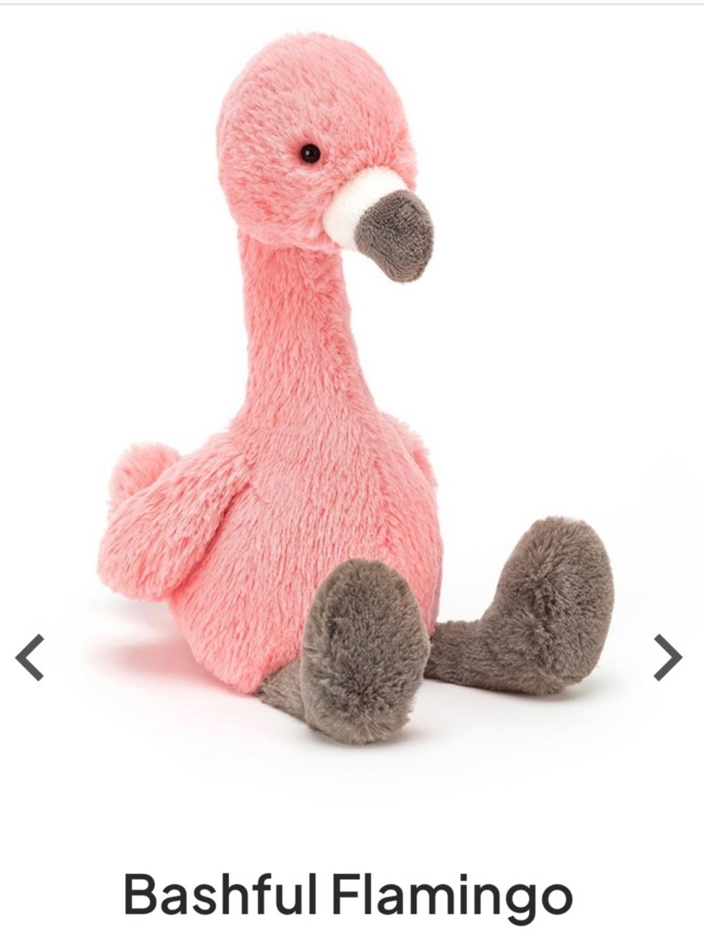 Jellycat Bashful Flamingo